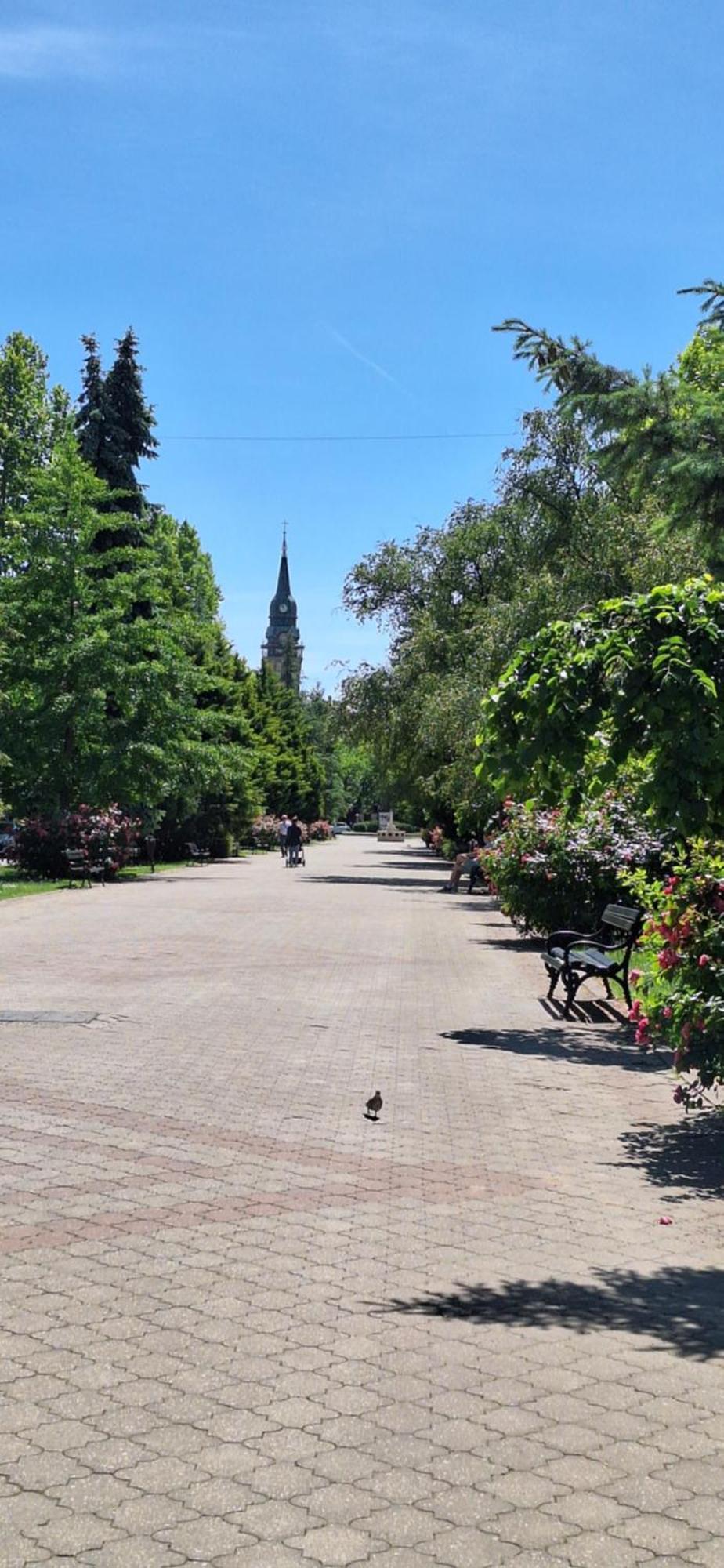Apartman Lara Subotica Dış mekan fotoğraf